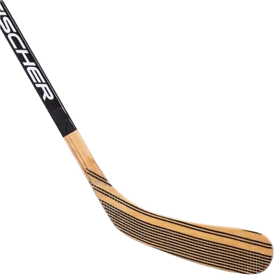Fischer Hockey W270 ABS